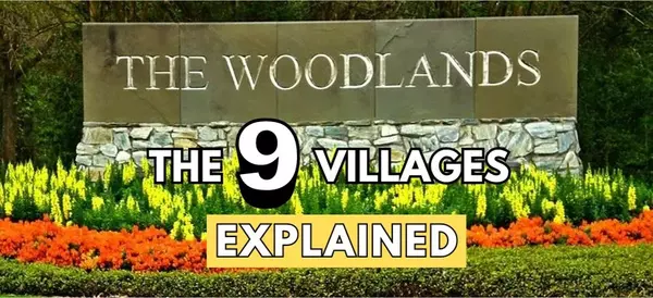 The 9 Villages of The Woodlands, TX: A Comprehensive Guide,Chase Giles