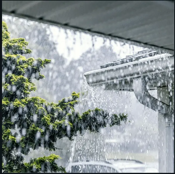 How To Protect Your Home From Hidden Water Damage,Thomas Morillo