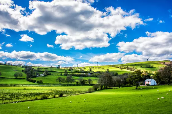 Discover the Charm of Country Living in Northern Colorado