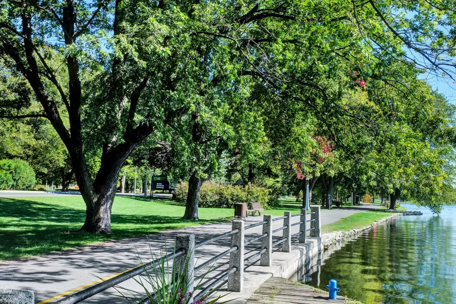Glebe / Dows Lake