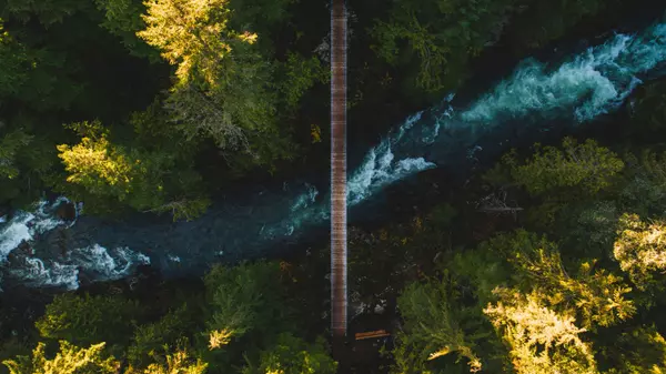 an ariel view of a forest in vancouver canada