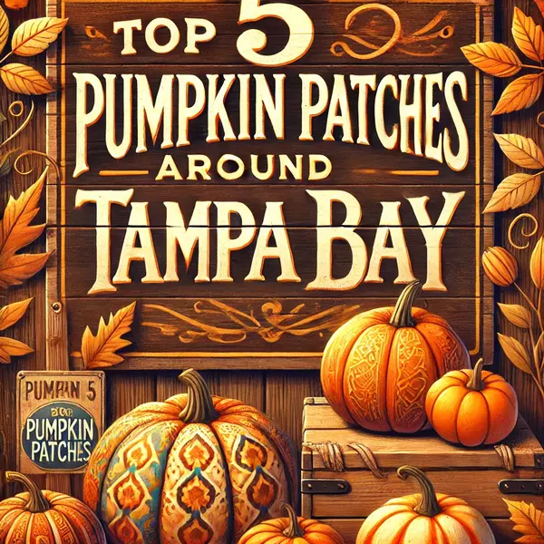 Discover the Best Pumpkin Patches in Tampa Bay Fl,Jose Mejia