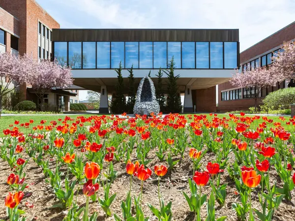 spring flowers in Clayton, MO