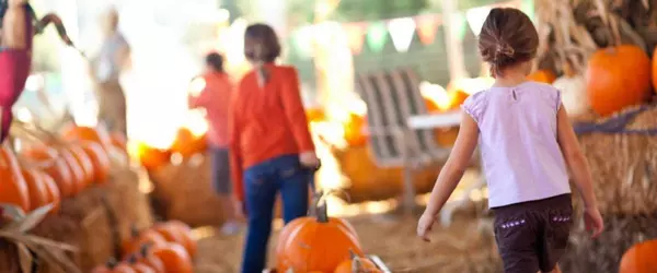 Top Family-Friendly Fall Activities in the GTA,Ana Bastas