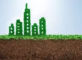 The Zack Grimmer Group, Powered by Real Environmental sustainability
