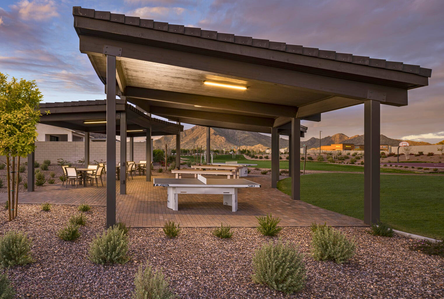 Community common area at The Preserve at San Tan in San Tan Valley, AZ, featuring mountain views, ping pong tables, and lush landscaping, offering residents a vibrant and scenic space for recreation and relaxation.