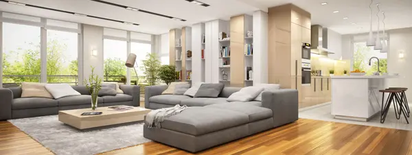 Big apartment