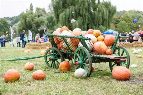 Plan a Trip to a Fall Festival! 