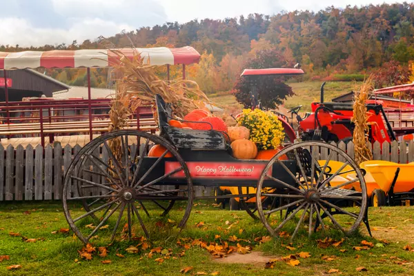 feature image of Top Fall Events You Won&#39;t Want to Miss