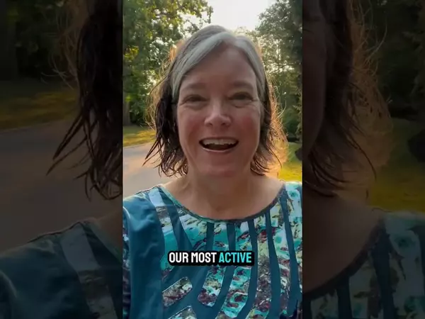 Northbrook Market Update Report Sept. 9 to Sept. 15 ,2024,Caroline Gau