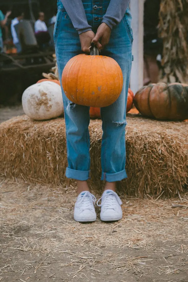 Local Town Fairs Scheduled In September and October,Joseph Matassa