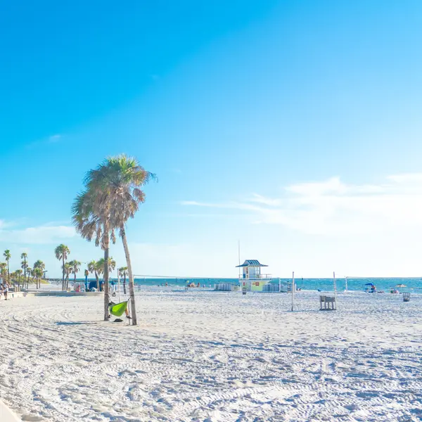 Clearwater Beach: An Unparalleled Gift Found on Florida's Gulf Coast,Thomas J. Morillo