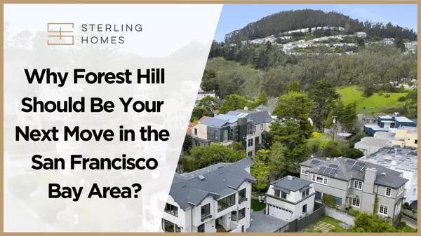 Why Forest Hill Should Be Your Next Move in the San Francisco Bay Area