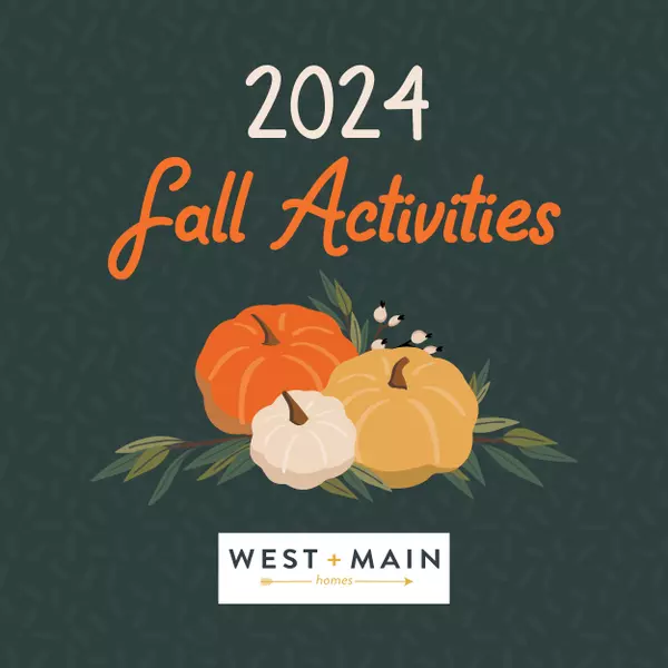 2024 Fall Activities_IG_Outlines_AlecShort