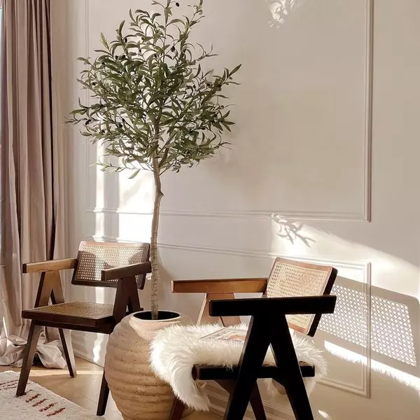 Oli Artificial Olive Tree Potted Plant (Multiple Sizes) - 5_5 Feet