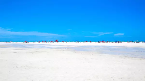 Exploring the Sarasota Lifestyle: Parks, Beaches, and Recreation,Adam Miller