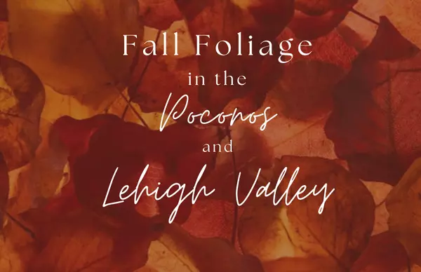 feature image of Best Spots to view Fall Foliage in the Poconos and Lehigh Valley