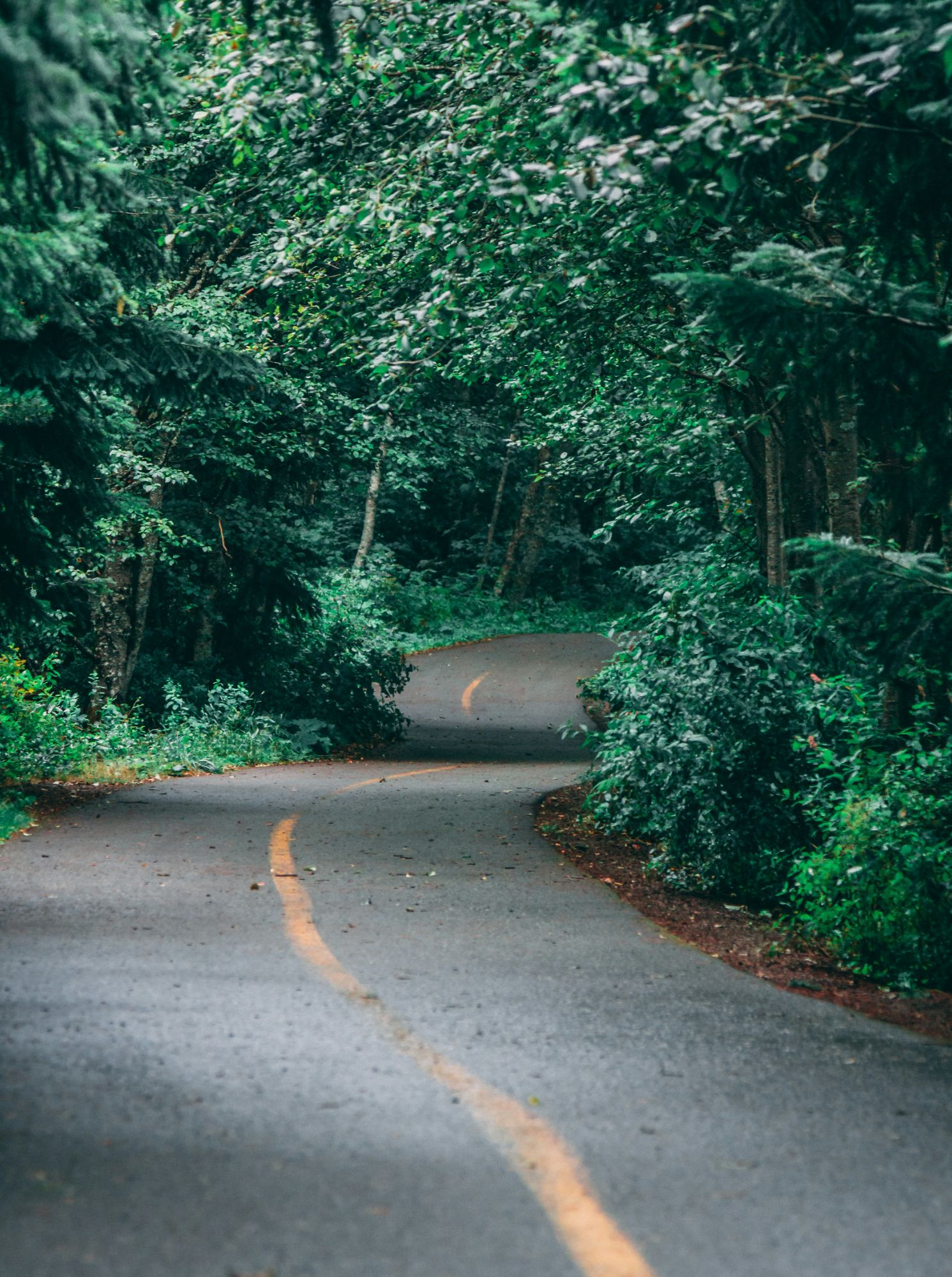 adam-patterson-P4driQbqu7I-unsplash