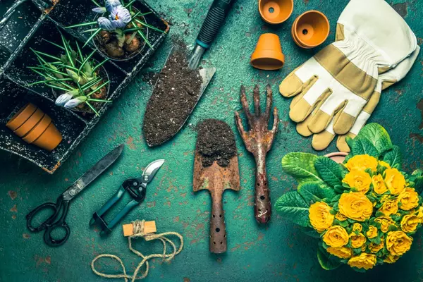 Gardening Tips for Beginners,Terry Kruse