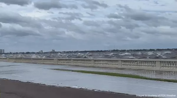 Hurricane Helene: A Look Back at Its Impact on the Tampa Bay Region ,Natalie Hall