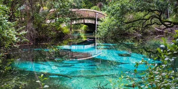 6 Springs Near Palatka