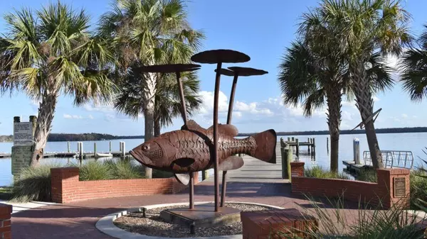St.Johns River and Lake activites