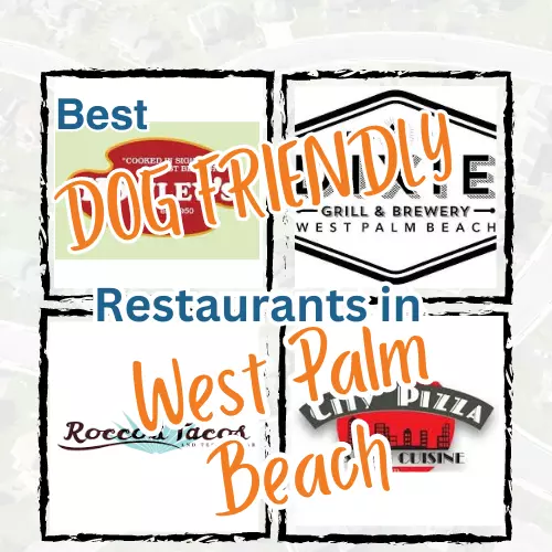 Discover Dog-Friendly Dining in West Palm Beach, FL