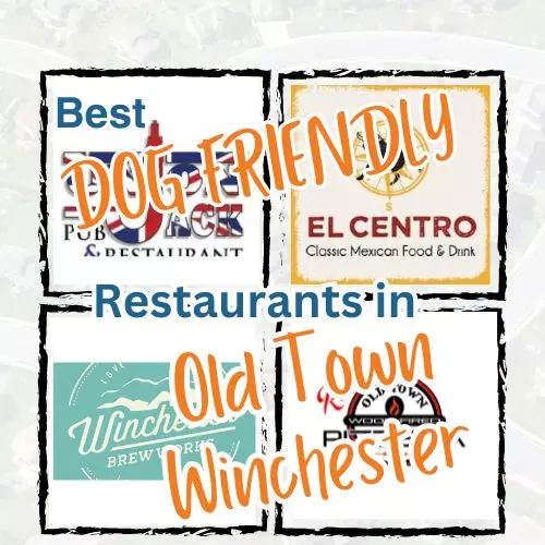 Top Dog-Friendly Restaurants in Old Town Winchester, VA