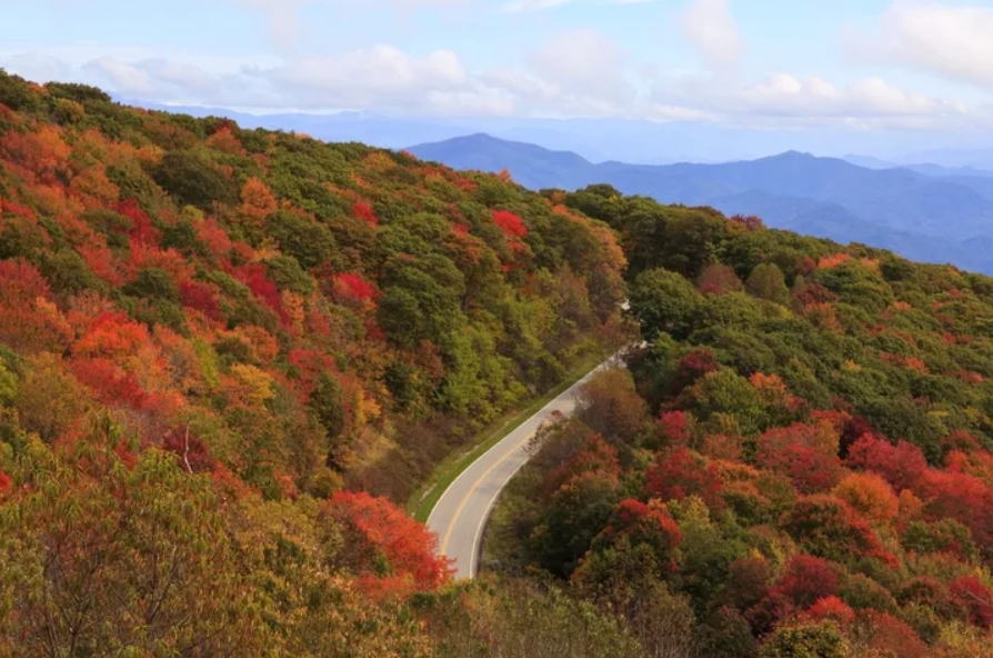 Fall Foliage in East Tennessee