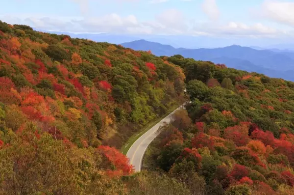 Fall 2024 Housing Market Update: East Tennessee