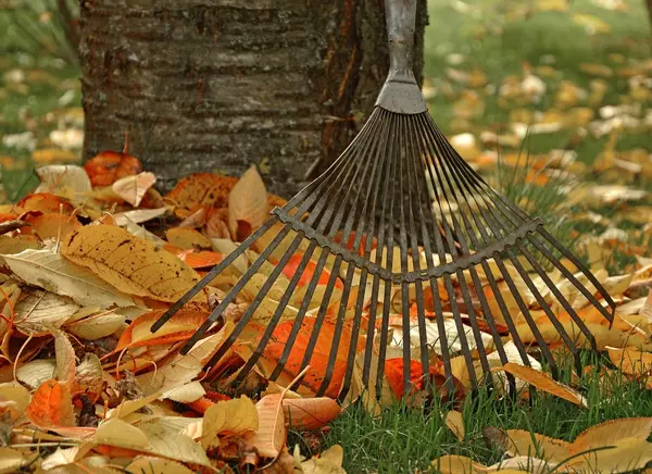 feature image of Essential Fall Home Maintenance Tasks for Homeowners