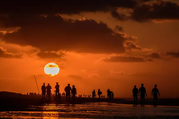 AdobeStock_443313640