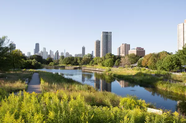 Lincoln Park, Chicago: A Blend of Nature and Urban Sophistication