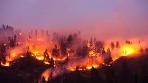 feature image of Preparing your home for wildfires