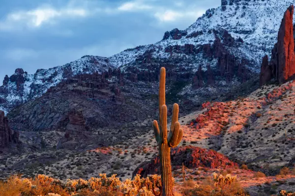 Why Waiting Until Spring to Move Might Not Be Your Best Idea   ,Gale Culver