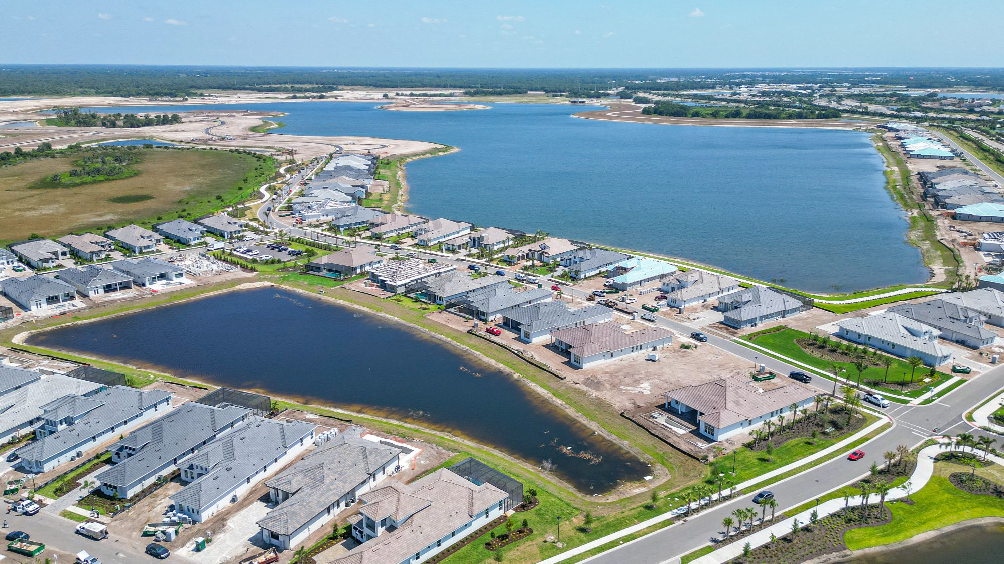 wild blue in lakewood ranch