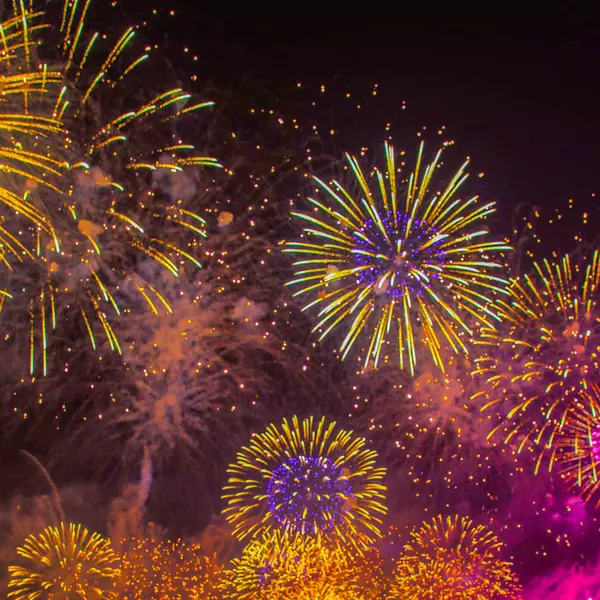 January 2025 Newsletter,Heidi Spielman