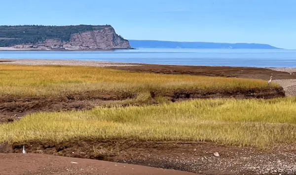 How Are TFSAs Related to Real Estate?,Shawn Tucker