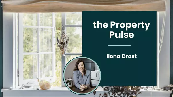 November 2024,Ilona Drost