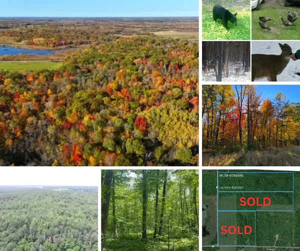 36+ Wooded Acres in Brook Park w/Tons of Wildlife--Great Hunting Land!,Chuck Carstensen