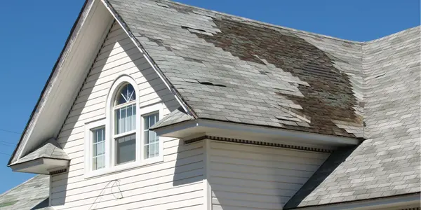 Common Issues in Houses for Sale in Victoria: Key Insights for Buyers,Mitch McMichael