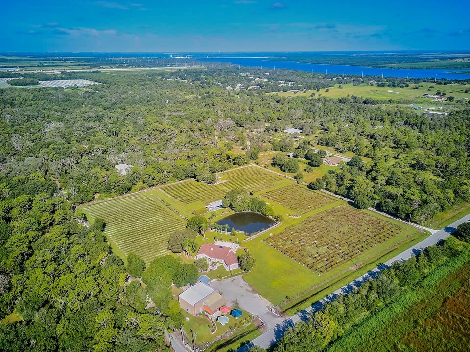 fiorelli winery