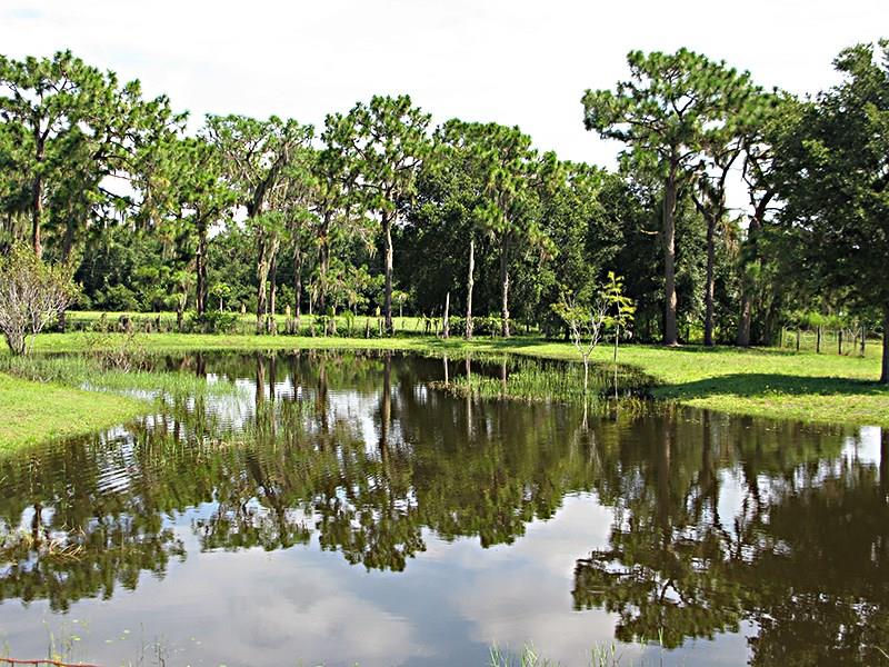 myakka city real estate