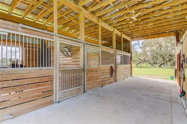 Expert Marketing for Selling Acreage, Equestrian Properties, and Vacant Land in Myakka City,Adam Miller