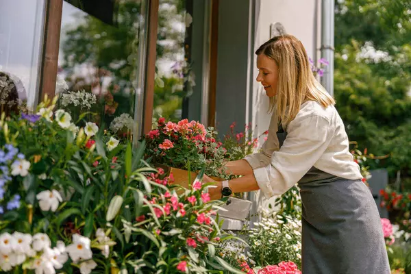 Easy and Cheap Ways to Increase Your Curb Appeal