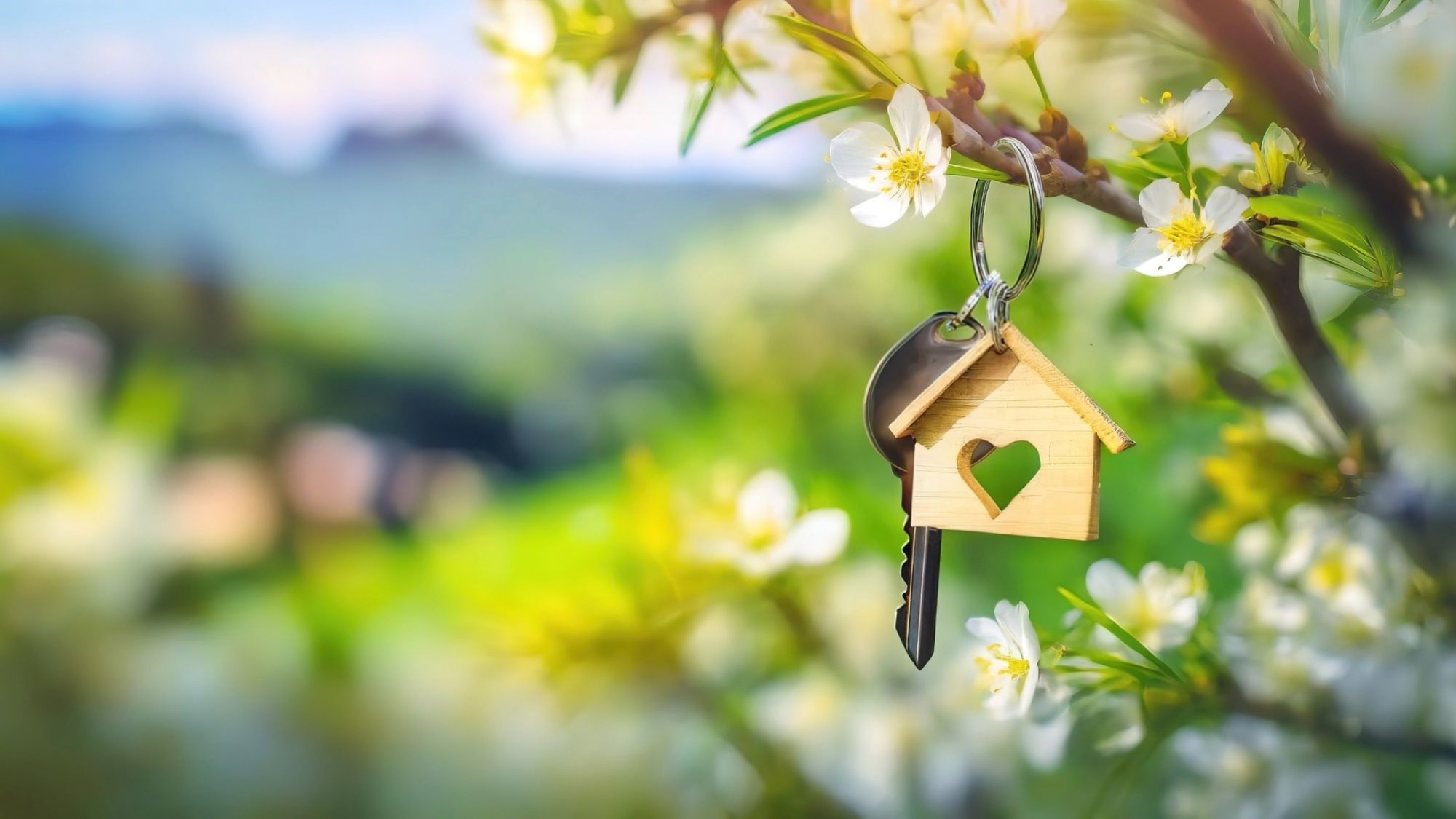 Spring Real Estate Market in Nelson, BC: What to Expect in 2025