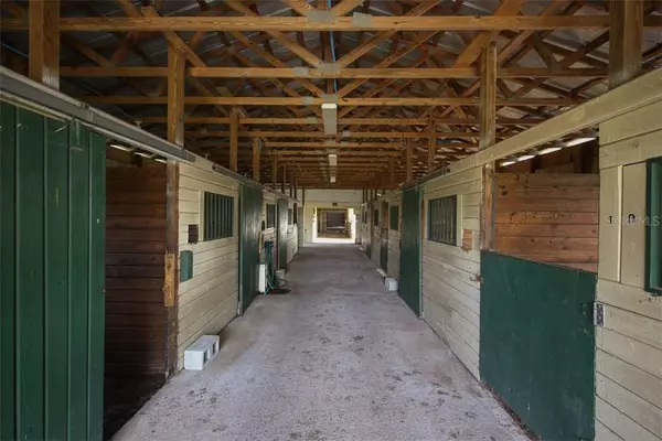 Selling Your Equestrian Property in Myakka City: Expert Tips to Stand Out,Adam Miller