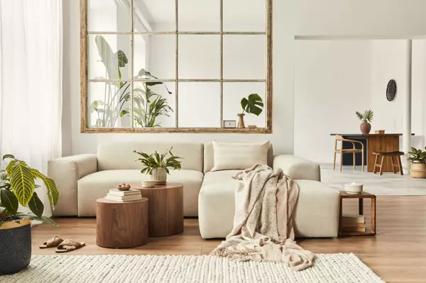 living-room-blanket-plants-big-window
