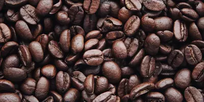 The Best Places to Sit and Enjoy Coffee in Lakewood Ranch,Adam Miller