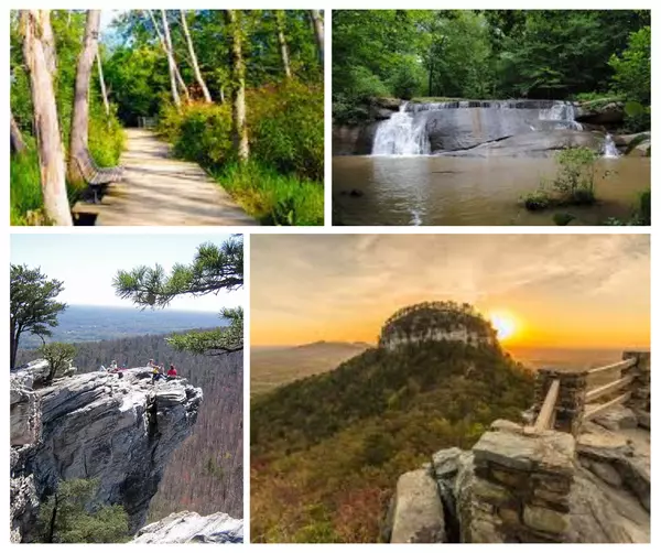 Exporing the Beauty of NC State Parks